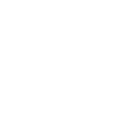Physiotherapie Saskia Schröck GbR - Kältekammer Steinweg Halle - Symbol