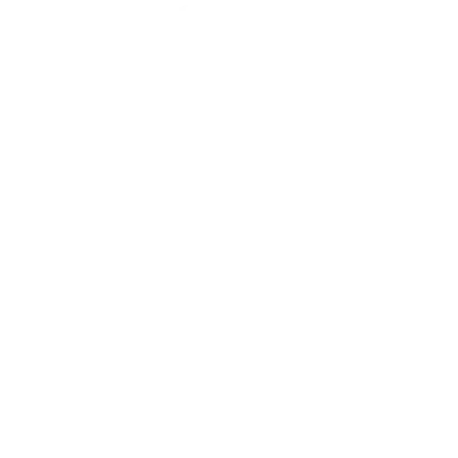Physiotherapie Saskia Schröck GbR - Kältekammer Steinweg Halle - Symbol